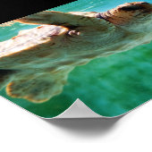 Affiche Caretta #1 (Coin)