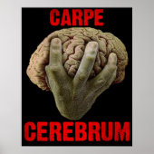 Affiche "CARPE CEREBRUM" (Devant)