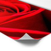 Affiche carré de rose rouge de déclaration d'amour (Coin)