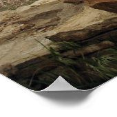 Affiche Casa Rinconada (Coin)