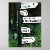 affiche cat o neuf miles (Devant)