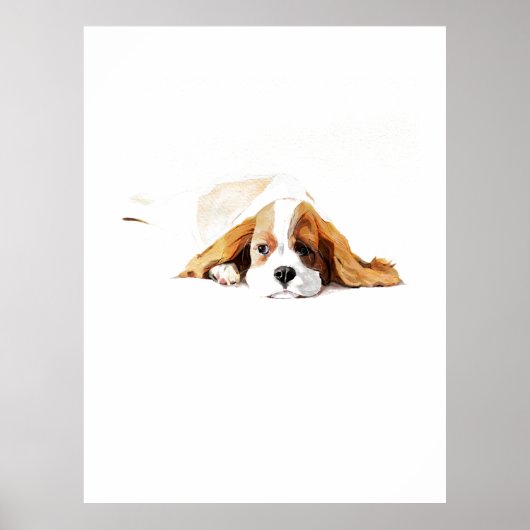Affiche Cavalier King, Art mural de chien à l'aqua (Devant)