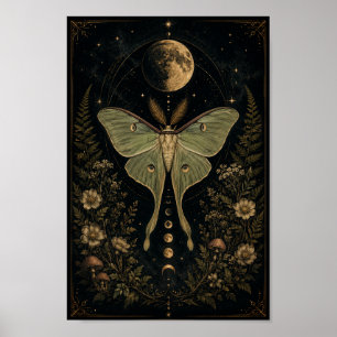 Affiche céleste du papillon de lune Phase de lun