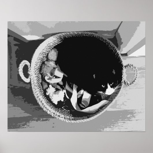 Affiche Chat dans un Panier (Devant)