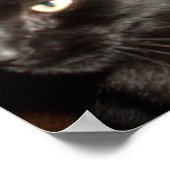 affiche CHAT NOIR (Coin)