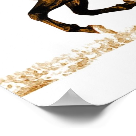 Affiche Cheval de course (Coin)