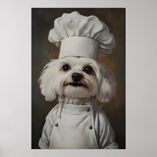 Affiche Chien Maltais en toque de chef, Affiche d' (Devant)