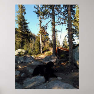 Affiche Chien Noir au Campement Alpin