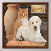 affiche chiot et chaton (Devant)