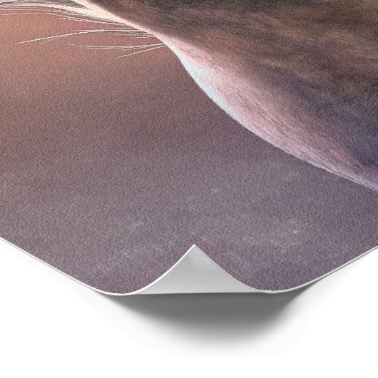 Affiche Cielo (Coin)