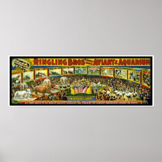 Affiche Cirque Ringling Brothers "Aviary Aquarium" (Devant)
