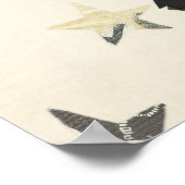 AFFICHE CLAWS, PAWS & FEATHERS (Coin)