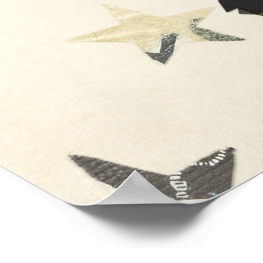 AFFICHE CLAWS, PAWS & FEATHERS (Coin)