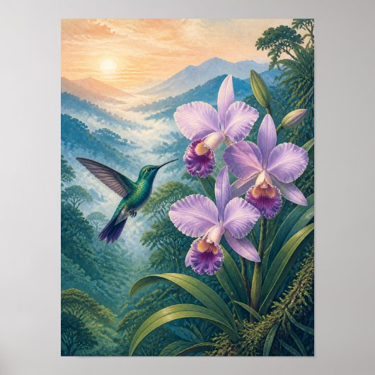 Affiche Colibri d'Orchidée de Forêt de Nuages 12x1 (Devant)