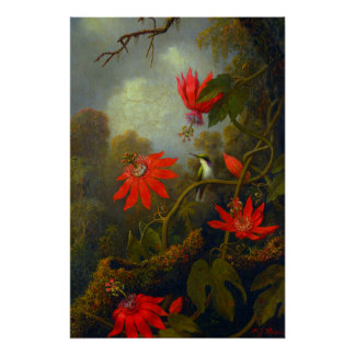 Affiche Colibri et Passiflores (1875)