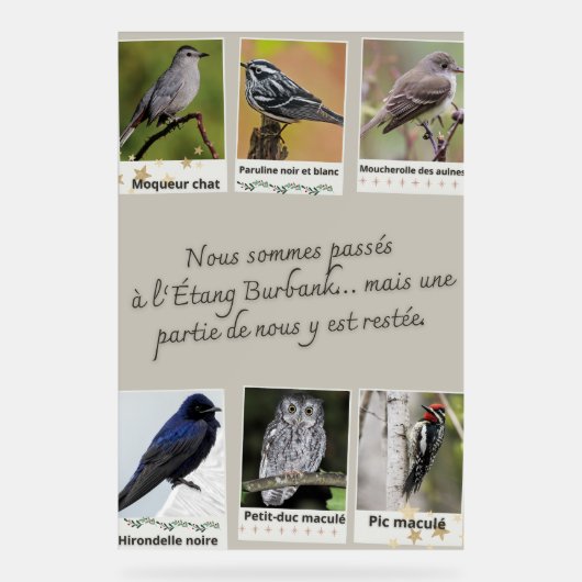 Affiche Collage d’Oiseaux de l'Étang Burbank – (Recto)