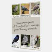 Affiche Collage d’Oiseaux de l'Étang Burbank – (Angle)