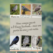 Affiche Collage d’Oiseaux de l'Étang Burbank – (Neutre)