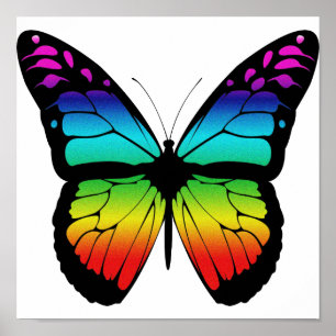 Affiche colorée de papillon