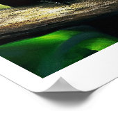 Affiche colorée de peinture d'oiseaux tropicaux (Coin)