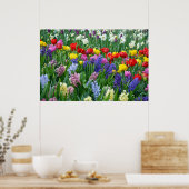Affiche colorée du jardin de printemps (Cuisine)