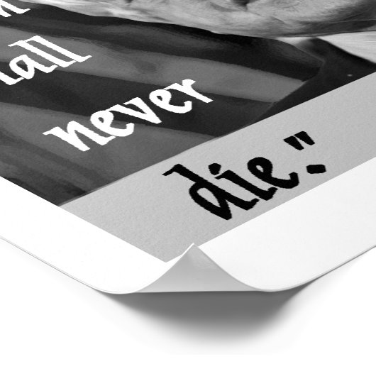 affiche commémorative de ted kennedy (Coin)