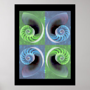 Affiche composée de Nautilus