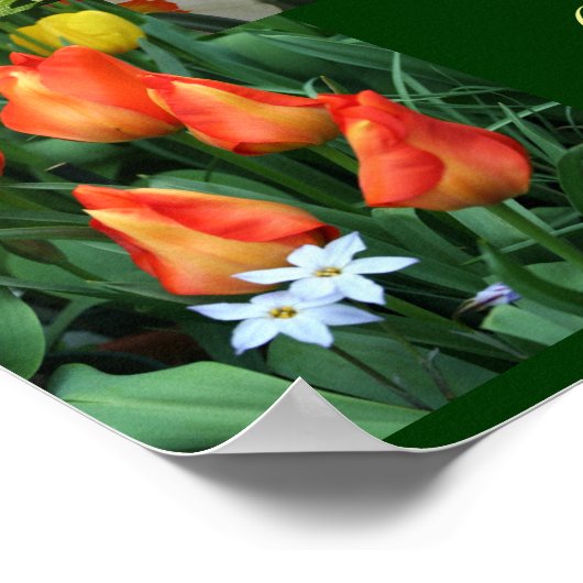 Affiche "Considérez les lis du champ" (Coin)