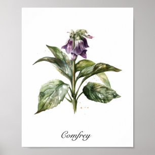 Affiche Consoude Sérène Aquarelle, personnalisée
