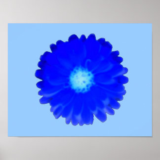 Affiche Cool Blue Marigold