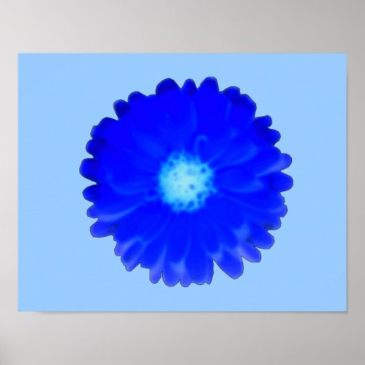 Affiche Cool Blue Marigold (Devant)