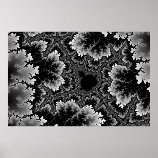Affiche Corail Blanc (Devant)