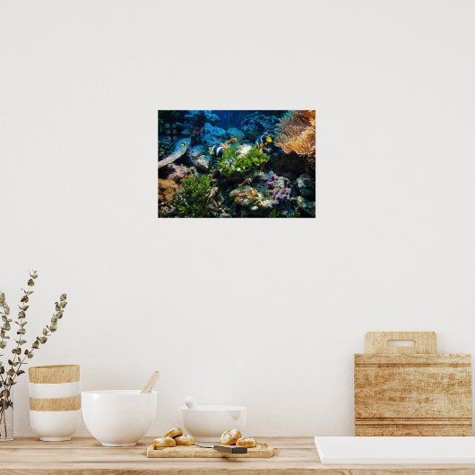 Affiche Coral Reef (Cuisine)