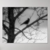 Affiche Corbeau Fantôme (Devant)