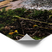 affiche - Corona del Mar cove (Coin)