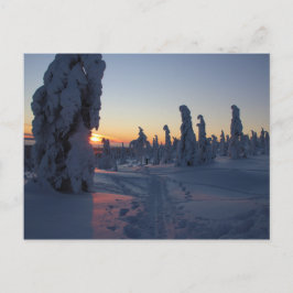 Affiche Couché de soleil sur la forêt en Laponie Briefkaart