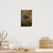 Affiche Crabe Attrapé Oiseau (Cuisine)