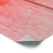 Affiche curieuse de chèvre (Coin)