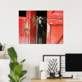 Affiche curieuse de chèvre (Bureau à domicile)