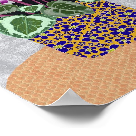 affiche cyclamen (Coin)