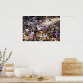 Affiche Cyclamen (Cuisine)