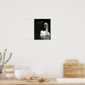 Affiche Cygne Blanc (Cuisine)