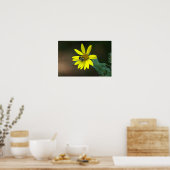 Affiche d'abeille sur fleur sauvage jaune (Cuisine)