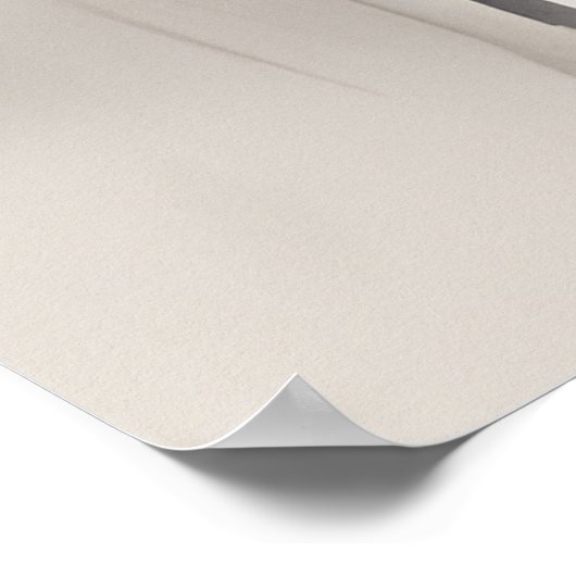 Affiche d'AI Geisha (Coin)