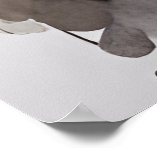 Affiche d'AI Geisha (Coin)