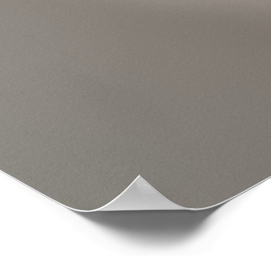 Affiche d'AI Geisha (Coin)