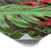 Affiche d'Alan Giana "Can You Imagine" (Coin)