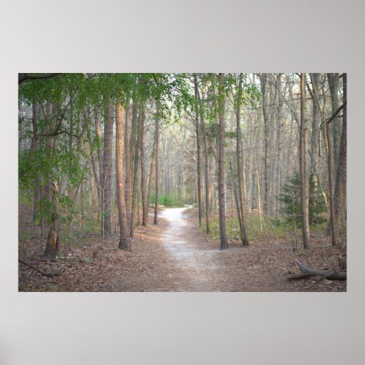 Affiche d'allée rangée d'arbres (Devant)
