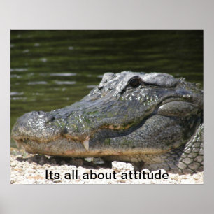 AFFICHE D'ALLIGATOR