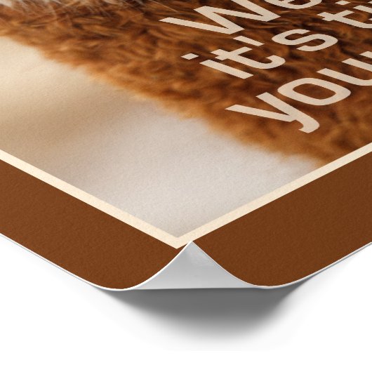 Affiche d'Alpaca (Coin)